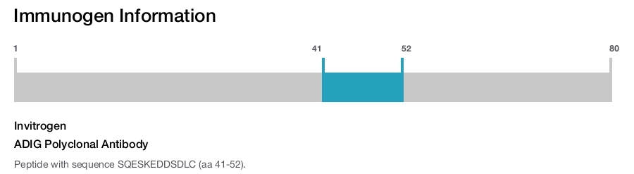 ADIG Polyclonal Antibody