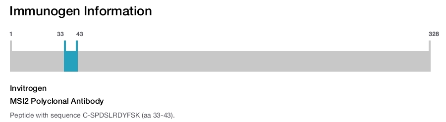 MSI2 Polyclonal Antibody
