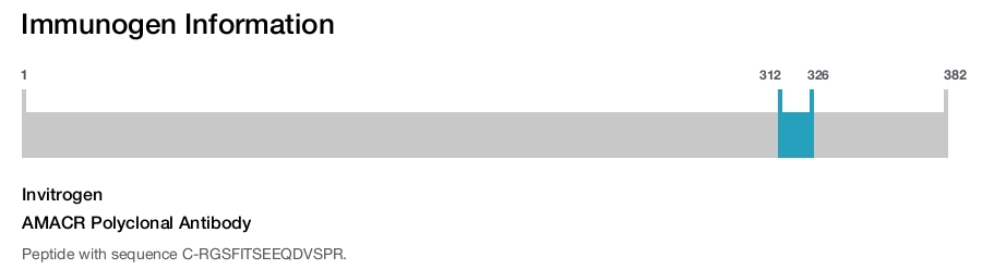 AMACR Polyclonal Antibody