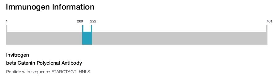 beta Catenin Polyclonal Antibody