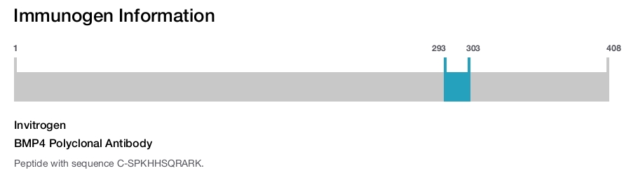 BMP4 Polyclonal Antibody