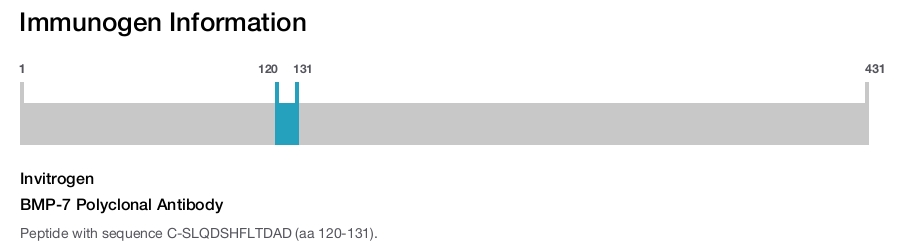 BMP-7 Polyclonal Antibody