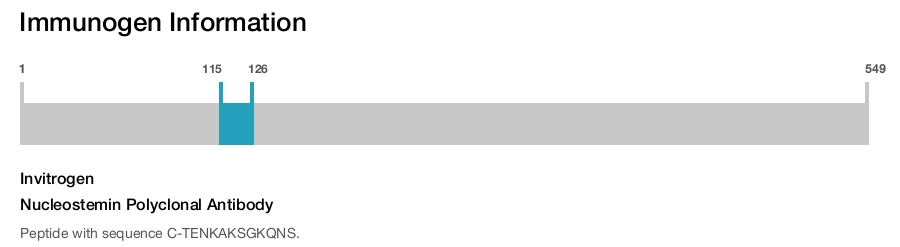 Nucleostemin Polyclonal Antibody