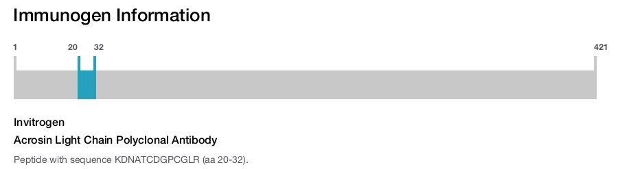 Acrosin Light Chain Polyclonal Antibody