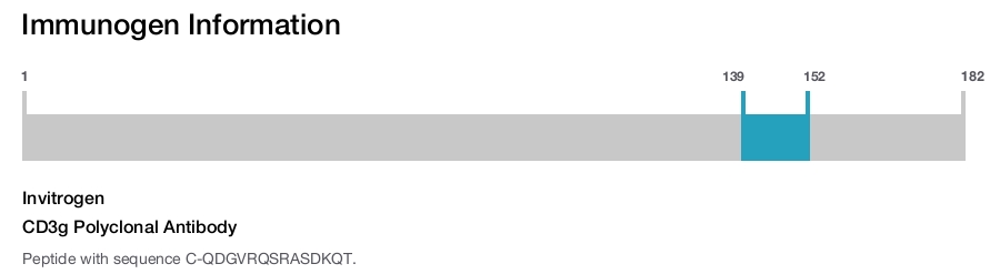 CD3g Polyclonal Antibody