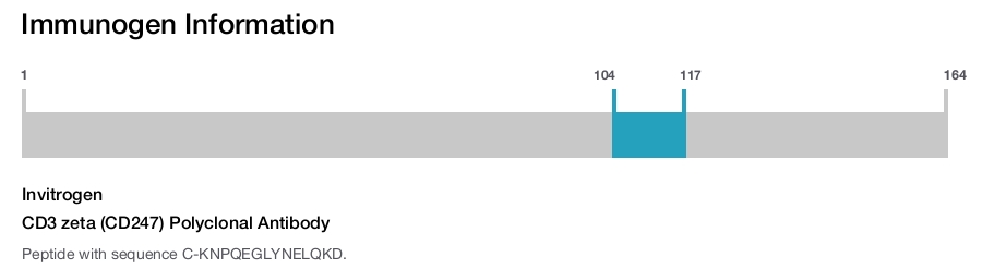 CD3 zeta (CD247) Polyclonal Antibody