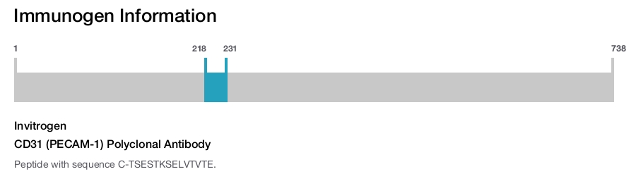 CD31 (PECAM-1) Polyclonal Antibody
