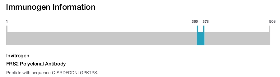FRS2 Polyclonal Antibody