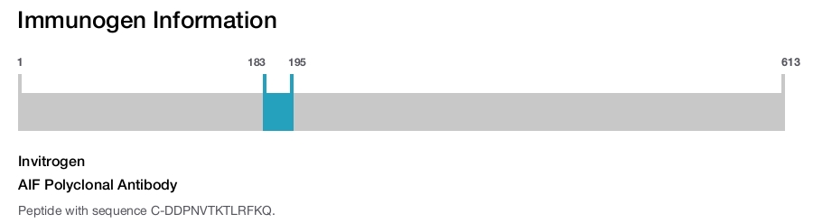 AIF Polyclonal Antibody