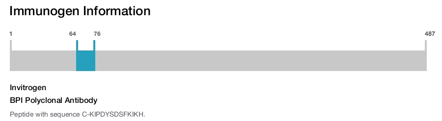 BPI Polyclonal Antibody