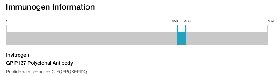 GPIP137 Polyclonal Antibody