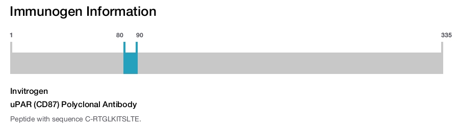 uPAR (CD87) Polyclonal Antibody