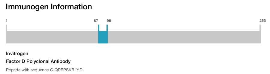 Factor D Polyclonal Antibody