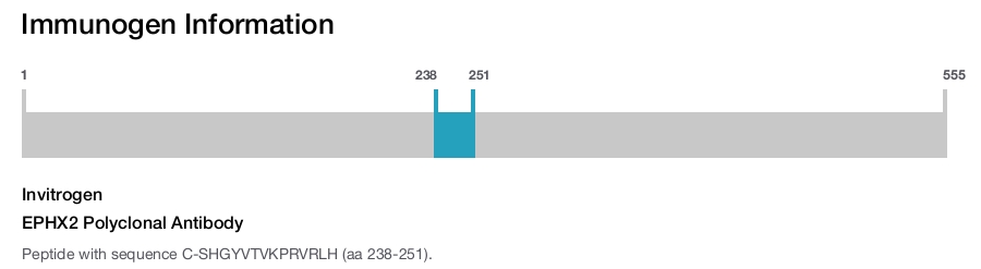 EPHX2 Polyclonal Antibody