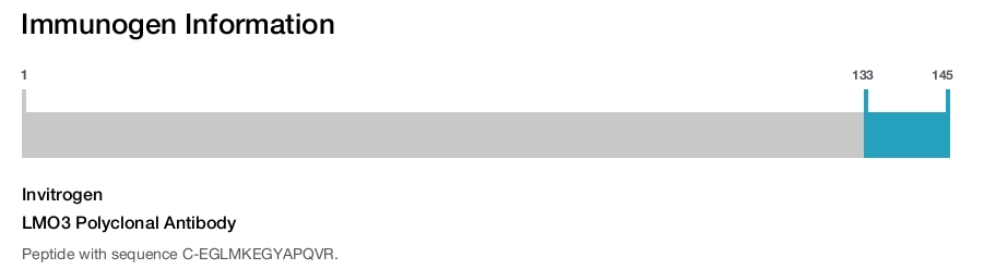 LMO3 Polyclonal Antibody