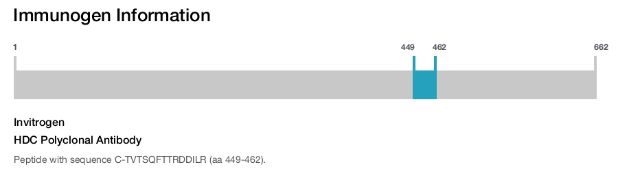 HDC Polyclonal Antibody