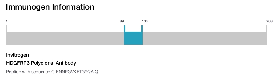 HDGFRP3 Polyclonal Antibody