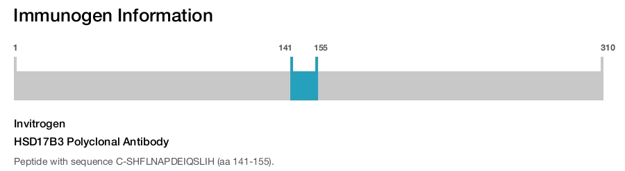 HSD17B3 Polyclonal Antibody