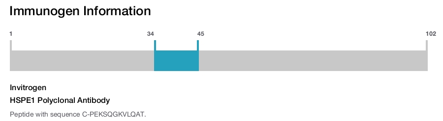 HSPE1 Polyclonal Antibody
