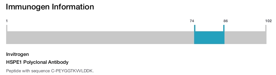 HSPE1 Polyclonal Antibody