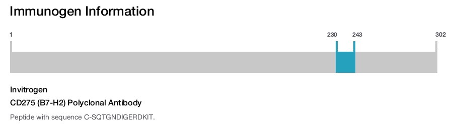 CD275 (B7-H2) Polyclonal Antibody