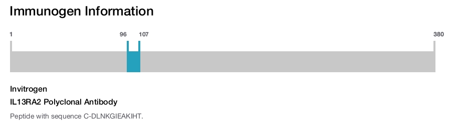 IL13RA2 Polyclonal Antibody