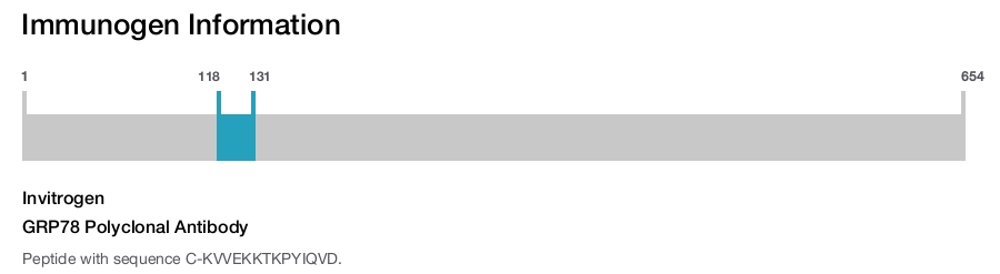 GRP78 Polyclonal Antibody