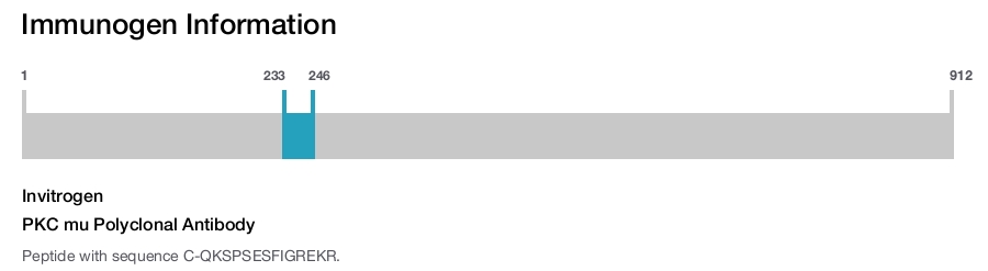 PKC mu Polyclonal Antibody