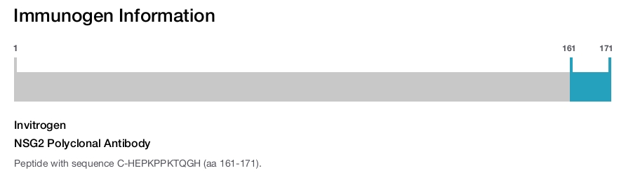 NSG2 Polyclonal Antibody