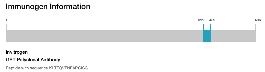 GPT Polyclonal Antibody