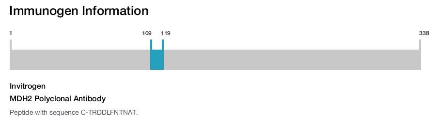MDH2 Polyclonal Antibody