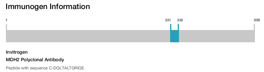 MDH2 Polyclonal Antibody