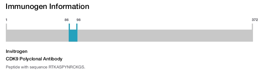 CDK9 Polyclonal Antibody