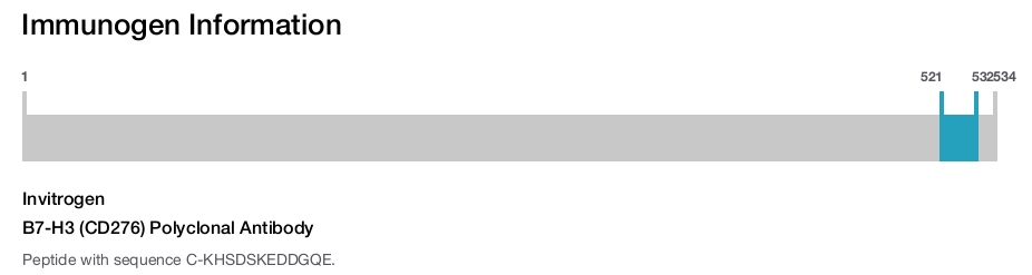 B7-H3 (CD276) Polyclonal Antibody