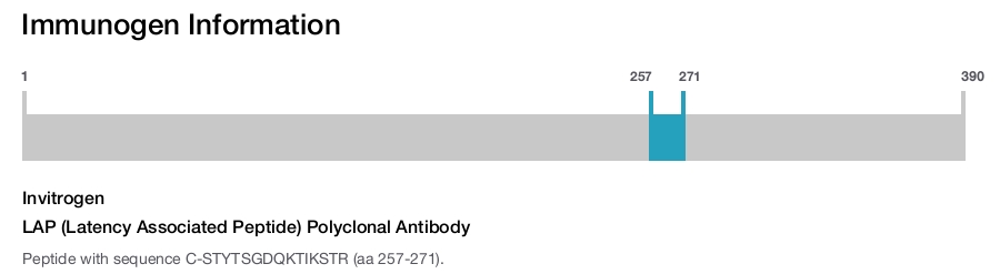 LAP (Latency Associated Peptide) Polyclonal Antibody