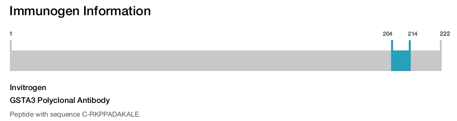 GSTA3 Polyclonal Antibody