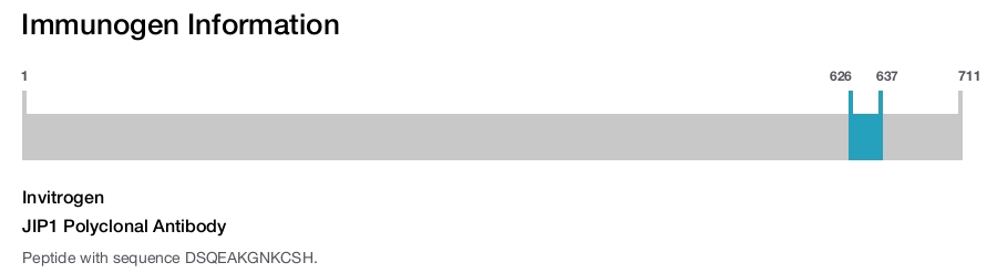 JIP1 Polyclonal Antibody