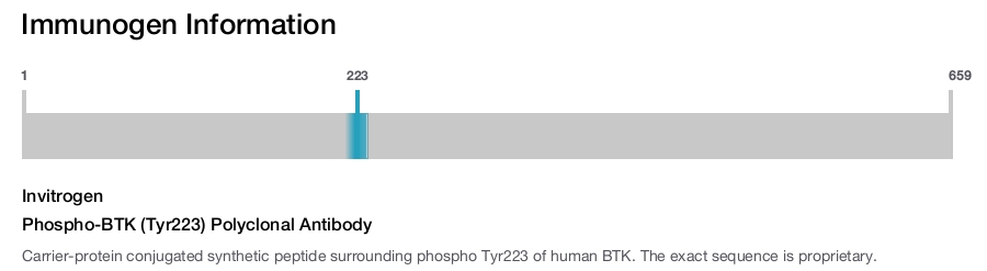 Phospho-BTK (Tyr223) Polyclonal Antibody
