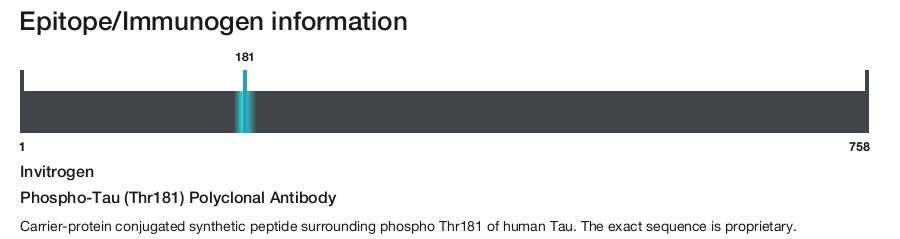 Phospho-Tau (Thr181) Polyclonal Antibody