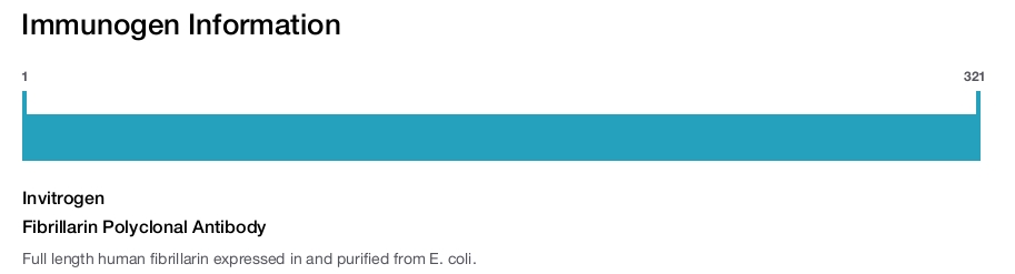 Fibrillarin Polyclonal Antibody