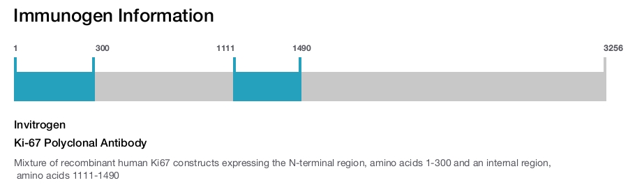 Ki-67 Polyclonal Antibody