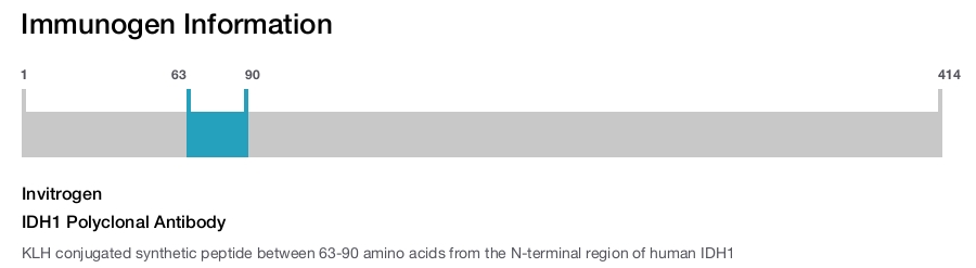 IDH1 Polyclonal Antibody