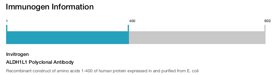 ALDH1L1 Polyclonal Antibody
