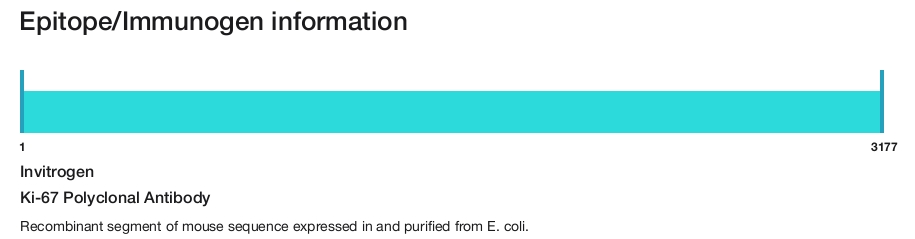 Ki-67 Polyclonal Antibody