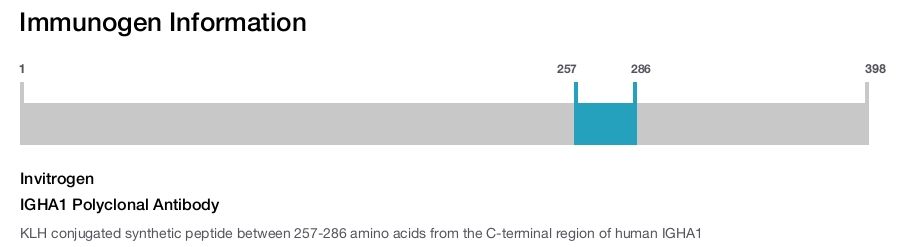 IGHA1 Polyclonal Antibody