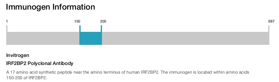 IRF2BP2 Polyclonal Antibody