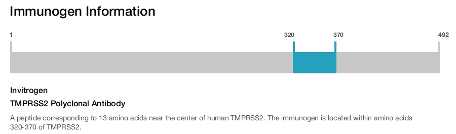 TMPRSS2 Polyclonal Antibody