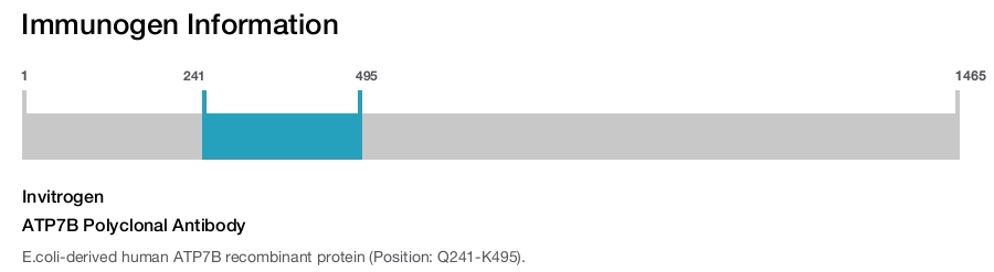 ATP7B Polyclonal Antibody