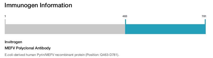 MEFV Polyclonal Antibody
