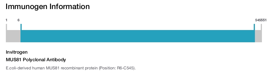 MUS81 Polyclonal Antibody